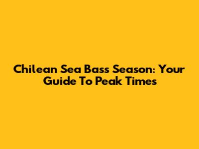 Chilean Sea Bass Season: Your Guide To Peak Times