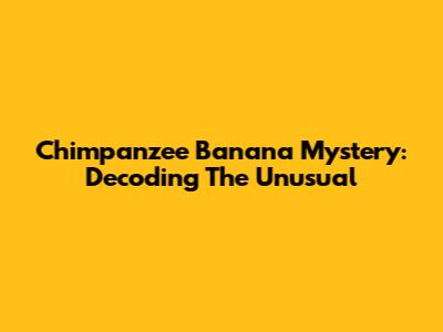 Chimpanzee Banana Mystery: Decoding The Unusual
