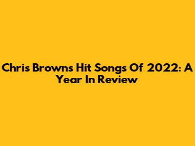 Chris Brown's Hit Songs Of 2022: A Year In Review