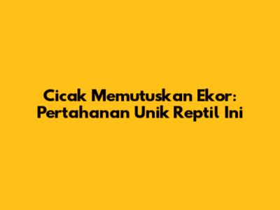 Cicak Memutuskan Ekor: Pertahanan Unik Reptil Ini