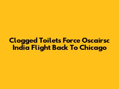 Clogged Toilets Force Oscairsc India Flight Back To Chicago