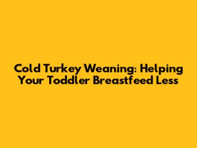 Cold Turkey Weaning: Helping Your Toddler Breastfeed Less