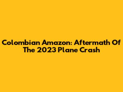 Colombian Amazon: Aftermath Of The 2023 Plane Crash