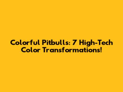 Colorful Pitbulls: 7 High-Tech Color Transformations!