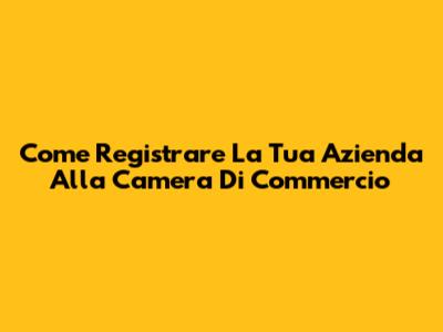 Come Registrare La Tua Azienda Alla Camera Di Commercio