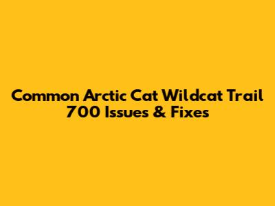 Common Arctic Cat Wildcat Trail 700 Issues & Fixes