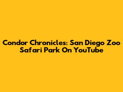 Condor Chronicles: San Diego Zoo Safari Park On YouTube