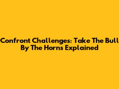 Confront Challenges: Take The Bull By The Horns Explained
