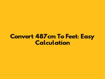 Convert 487cm To Feet: Easy Calculation