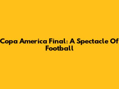 Copa America Final: A Spectacle Of Football