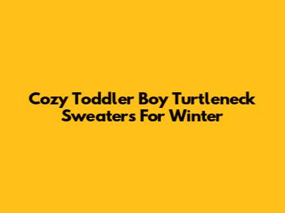 Cozy Toddler Boy Turtleneck Sweaters For Winter