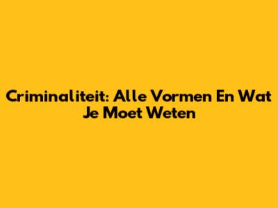 Criminaliteit: Alle Vormen En Wat Je Moet Weten
