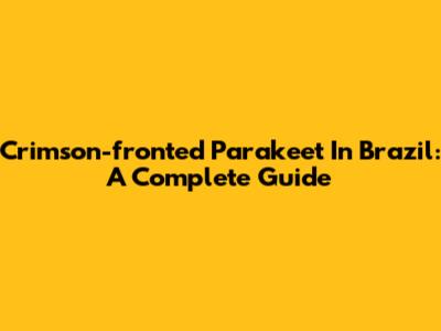 Crimson-fronted Parakeet In Brazil: A Complete Guide