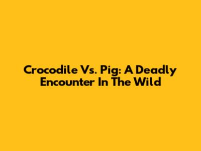 Crocodile Vs. Pig: A Deadly Encounter In The Wild