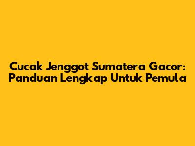 Cucak Jenggot Sumatera Gacor: Panduan Lengkap Untuk Pemula