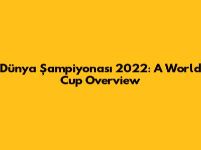 Dünya Şampiyonası 2022: A World Cup Overview