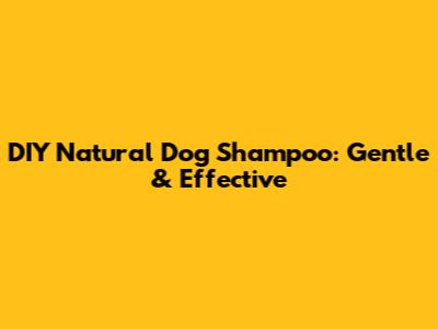 DIY Natural Dog Shampoo: Gentle & Effective