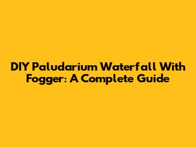 DIY Paludarium Waterfall With Fogger: A Complete Guide