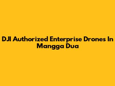 DJI Authorized Enterprise Drones In Mangga Dua