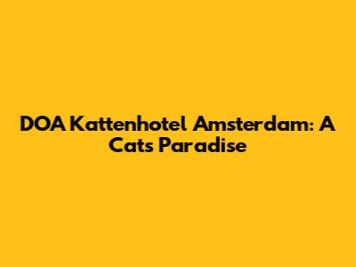 DOA Kattenhotel Amsterdam: A Cat's Paradise