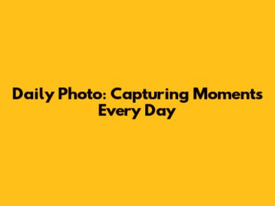 Daily Photo: Capturing Moments Every Day