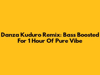 Danza Kuduro Remix: Bass Boosted For 1 Hour Of Pure Vibe