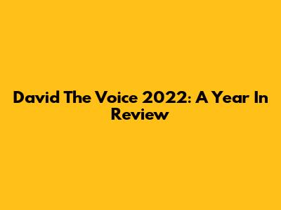 David The Voice 2022: A Year In Review