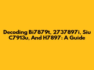 Decoding Bi7879t, 2737897i, Siu C7913u, And H7897: A Guide