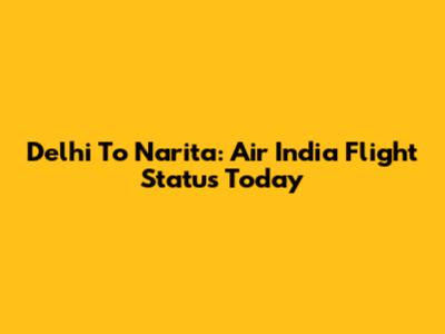 Delhi To Narita: Air India Flight Status Today