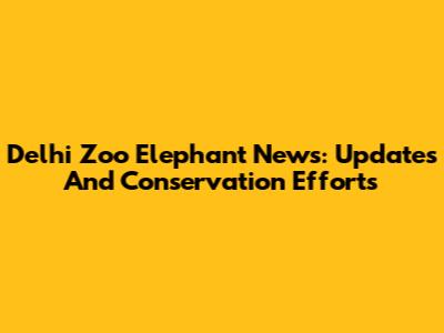 Delhi Zoo Elephant News: Updates And Conservation Efforts