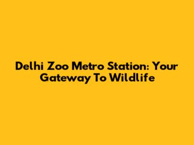 Delhi Zoo Metro Station: Your Gateway To Wildlife