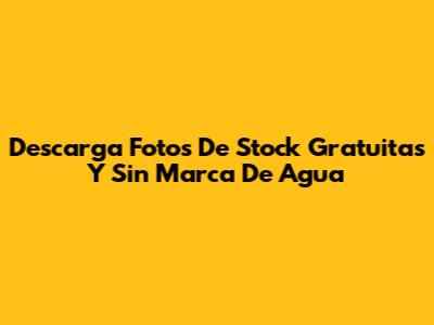 Descarga Fotos De Stock Gratuitas Y Sin Marca De Agua