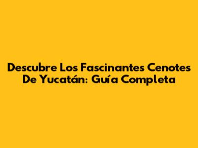 Descubre Los Fascinantes Cenotes De Yucatán: Guía Completa