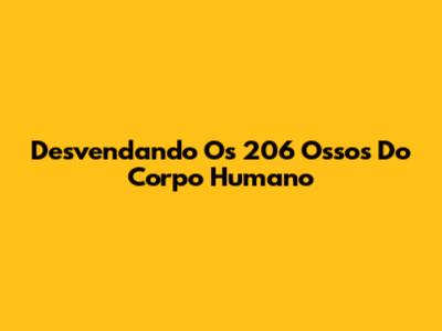 Desvendando Os 206 Ossos Do Corpo Humano
