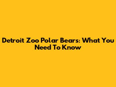 Detroit Zoo Polar Bears: What You Need To Know
