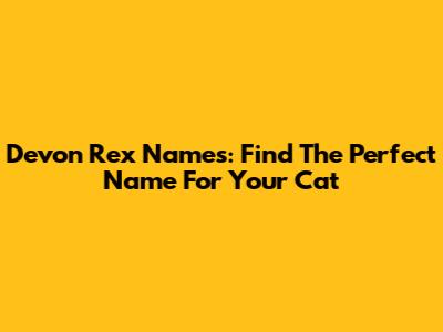 Devon Rex Names: Find The Perfect Name For Your Cat