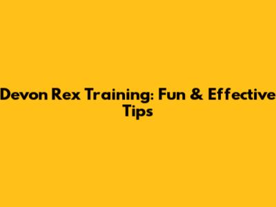 Devon Rex Training: Fun & Effective Tips