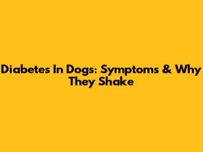 Diabetes In Dogs: Symptoms & Why They Shake