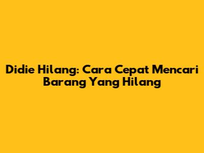 Didie Hilang: Cara Cepat Mencari Barang Yang Hilang