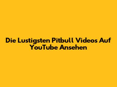 Die Lustigsten Pitbull Videos Auf YouTube Ansehen