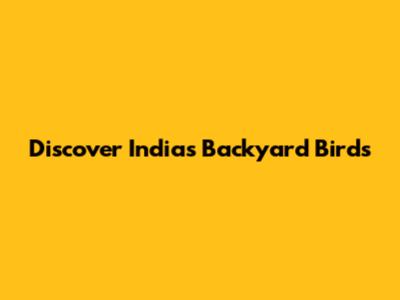 Discover India's Backyard Birds