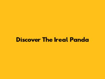 Discover The Ireal Panda