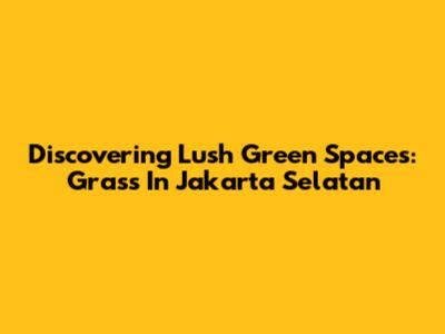 Discovering Lush Green Spaces: Grass In Jakarta Selatan