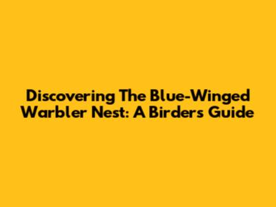 Discovering The Blue-Winged Warbler Nest: A Birder's Guide