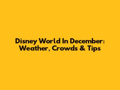 Disney World In December: Weather, Crowds & Tips