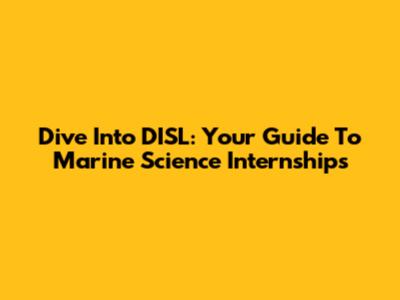 Dive Into DISL: Your Guide To Marine Science Internships