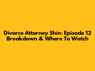 Divorce Attorney Shin: Episode 12 Breakdown & Where To Watch