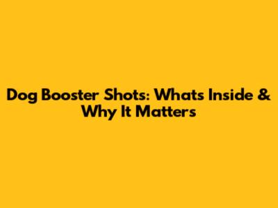 Dog Booster Shots: What's Inside & Why It Matters
