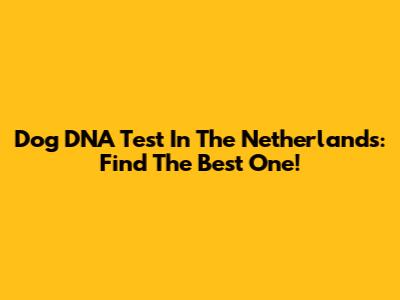 Dog DNA Test In The Netherlands: Find The Best One!