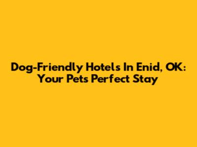 Dog-Friendly Hotels In Enid, OK: Your Pet's Perfect Stay